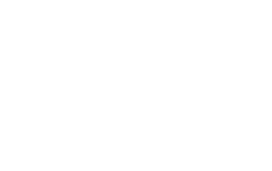 aesthetic pro logo